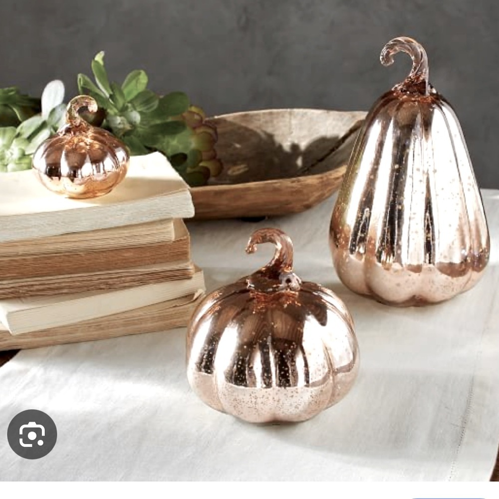 Set of 3 Pottery barn pumpkins mini - Picture 2 of 2